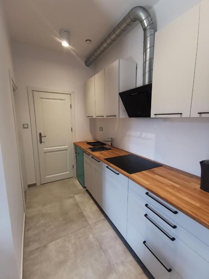 Nowe Apartamenty Zamkowa Vis A Vis Wawelu Краків Екстер'єр фото